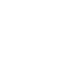 TNT EVERYONE’S VAPE